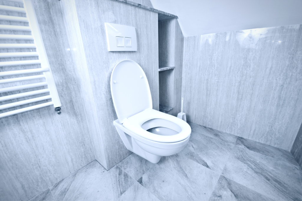 Le WC suspendu : un modèle ergonomique et pratique.